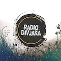 Radio Divjaka Logo
